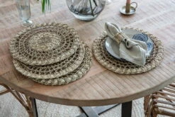 Aarushu Table Mat - Natural (Set Of 4)