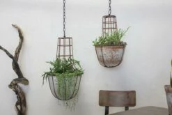 Abari Caged Hanging Planter
