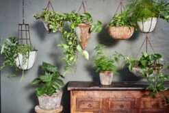 Abari Round Hanging Planter -furniture Sales Store nkuku abari round hanging planter 14112375930989