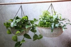 Abari Round Hanging Planter