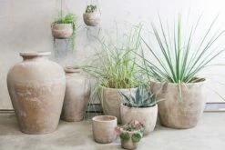 Affiti Clay Planter - Medium 8 Affiti Clay Planter - Medium -furniture Sales Store nkuku affiti clay planter 29455065612464