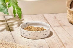 Ama Ceramic Pet Bowl - Large -furniture Sales Store nkuku ama ceramic pet bowl large 5 06e 12 32835265888432