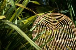 Arlia Rattan Lounger 19 Arlia Rattan Lounger -furniture Sales Store nkuku arlia rattan lounger 5055672417439 32809485467824