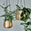 Atsu Brass Hanging Planter 2 Atsu Brass Hanging Planter -furniture Sales Store nkuku atsu brass hanging planter 14976411861101