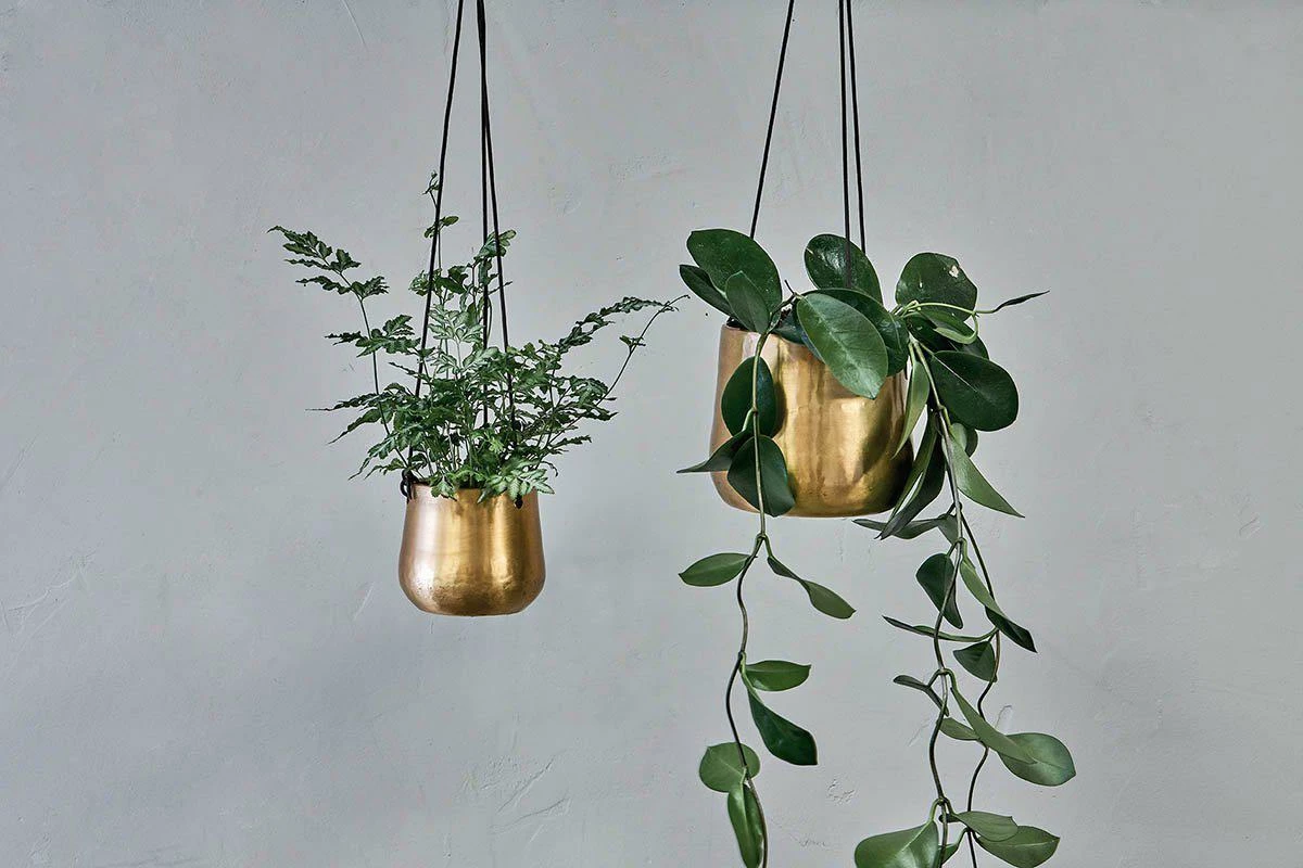 Atsu Brass Hanging Planter 4 Atsu Brass Hanging Planter - Image 2
