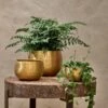 Atsu Brass Planter -furniture Sales Store nkuku atsu brass planter 29522490359984