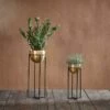 Atsu Brass Planter Stand 2 Atsu Brass Planter Stand -furniture Sales Store nkuku atsu planter stand 29452532351152