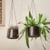 Endo Reclaimed Iron Hanging Planter