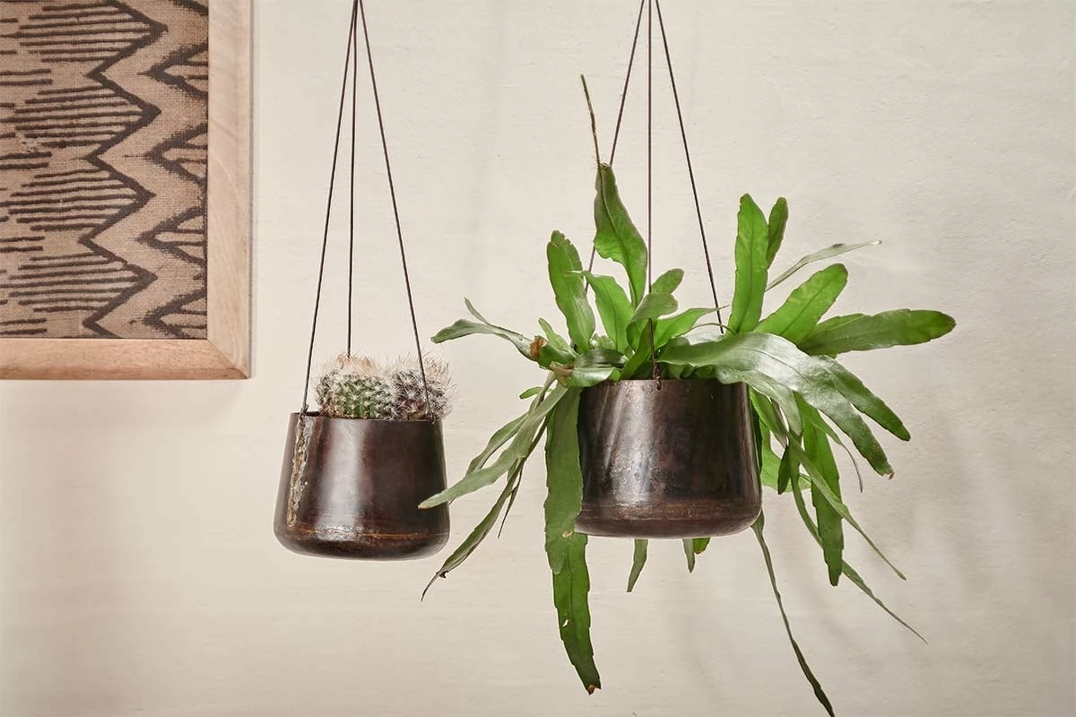 Endo Reclaimed Iron Hanging Planter 3 Endo Reclaimed Iron Hanging Planter