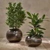 Endo Reclaimed Iron Globe Planter -furniture Sales Store nkuku endo reclaimed iron vase 29499134640304