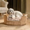 Jaiyuh Hemp Pet Bed - Natural - Medium -furniture Sales Store nkuku jaiyuh hemp pet bed natural medium 5 06e 12 32807267205296