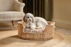 Jaiyuh Hemp Pet Bed - Natural - Medium