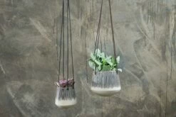 Matamba Ceramic Hanging Planter - Lines
