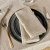 Sanee Napkin - (Set Of 2) -furniture Sales Store nkuku sanee napkin 5055672416159 31981291012272