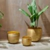 Tembesi Etched Planter - Antique Brass 1 Tembesi Etched Planter - Antique Brass -furniture Sales Store nkuku tembesi etched planter antique brass 29384472920240