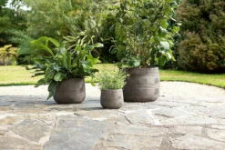 Zadie Etched Ceramic Planter - Grey - Small -furniture Sales Store nkuku zadie etched ceramic planter grey small 5055672419679 32810390749360