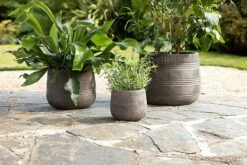 Zadie Etched Ceramic Planter - Grey - Small -furniture Sales Store nkuku zadie etched ceramic planter grey small 5055672419679 32810390782128