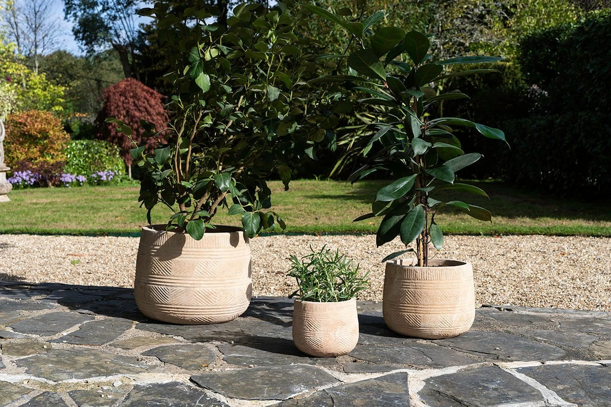 Zadie Etched Ceramic Planter - Neutral - Small 8 Zadie Etched Ceramic Planter - Neutral - Small - Image 6