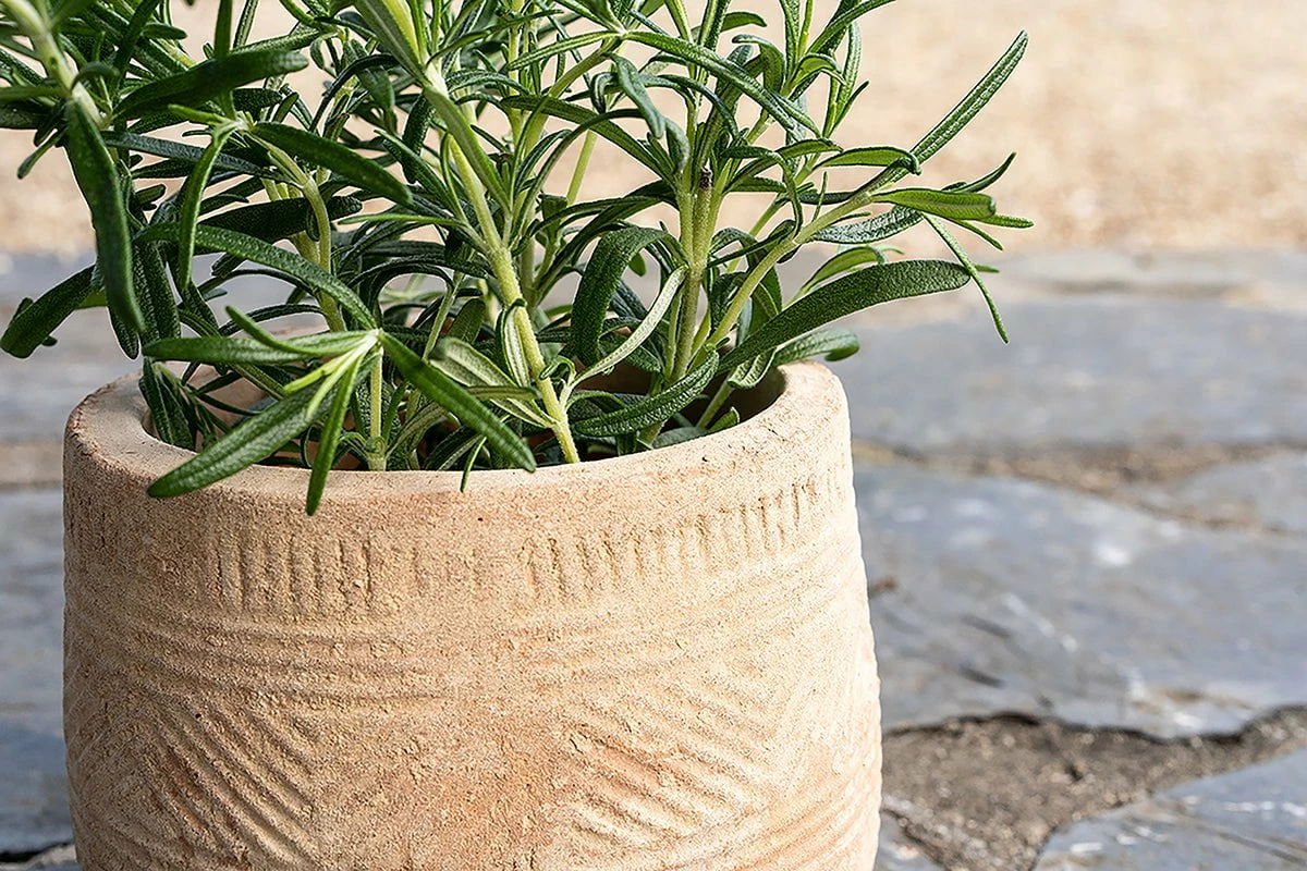 Zadie Etched Ceramic Planter - Neutral - Small 6 Zadie Etched Ceramic Planter - Neutral - Small - Image 4