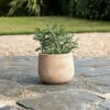 Zadie Etched Ceramic Planter - Neutral - Small -furniture Sales Store nkuku zadie etched ceramic planter neutral small 5055672419693 32810399137968