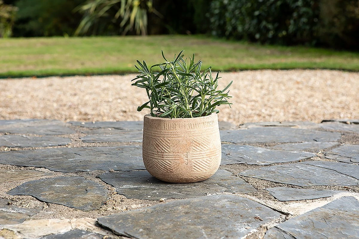 Zadie Etched Ceramic Planter - Neutral - Small 3 Zadie Etched Ceramic Planter - Neutral - Small